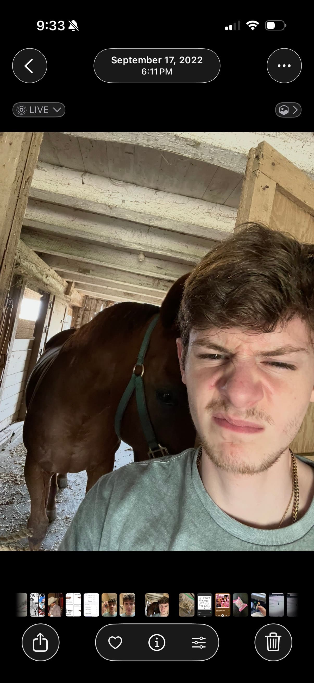 With the pup