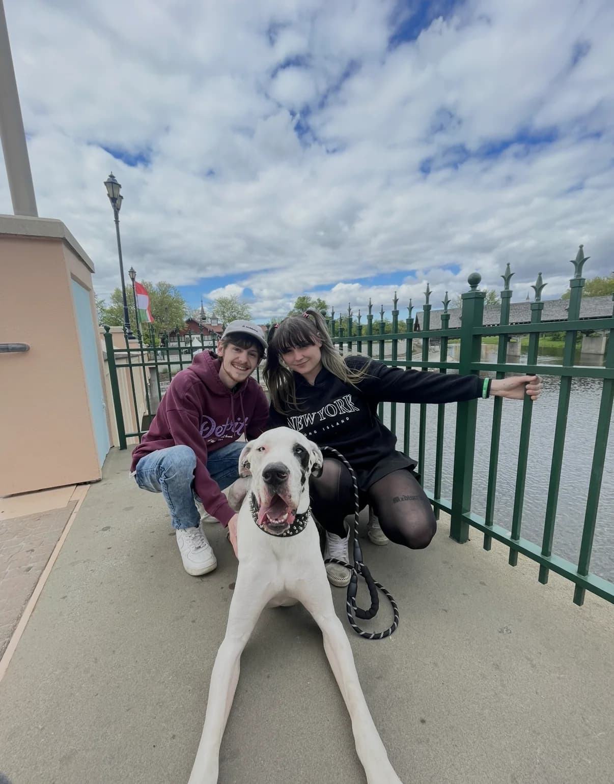 Day out with the pup